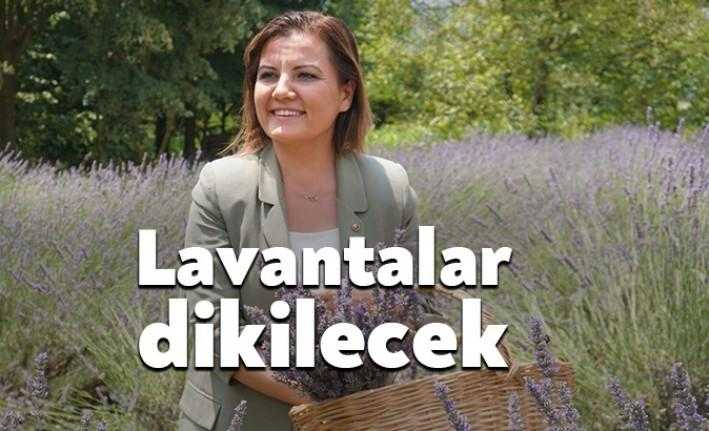 İzmit Kadın Kooperatifi, Lavanta Dikim Bayramı'nda resmi olarak İzmit Belediyesi