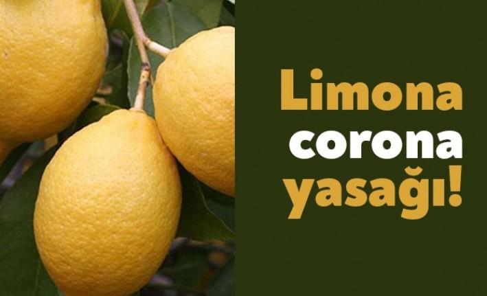 Son zamanlarda kilogramı 20 TL'ye çıkan limonun yurt dışına satılması