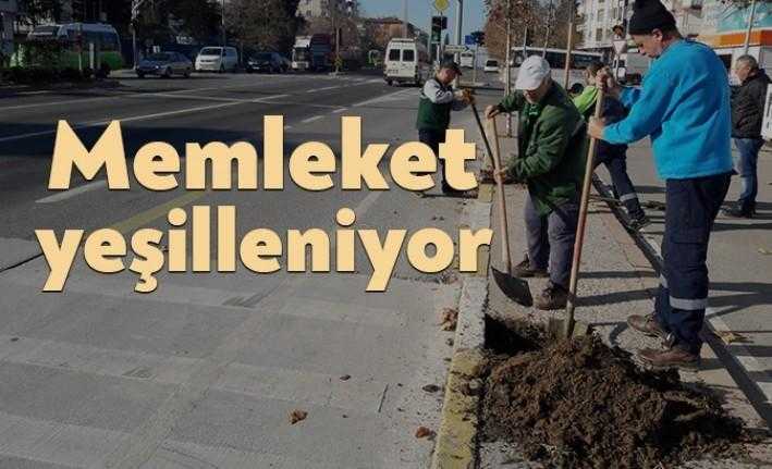 Kocaeli Büyükşehir Belediyesi ekipleri, Kocaeli genelinde yeşillendirme çalışması yapıyor
