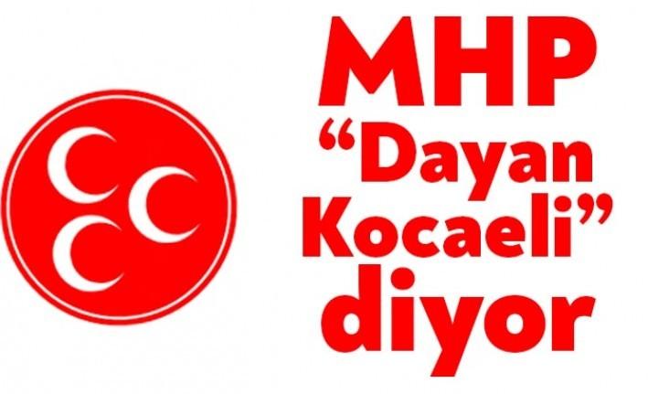 MHP İl Başkanı Aydın Ünlü, ilçe başkanlarıyla internet üzerinden yaptığı