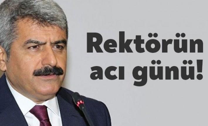 KOÜ Rektörü Prof. Dr. Sadettin Hülagü'nün kayınvalidesi Necmiye Umut hayatını