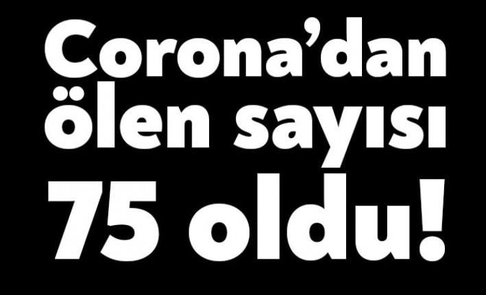 Sağlık Bakanı Fahrettin Koca, Türkiye'de görülen corona virüsü salgınında toplamda