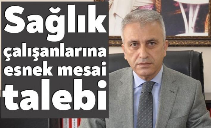 Türk Sağlık Sen Kocaeli Şube Başkanı, Türkiye Kamu Sen Denetleme