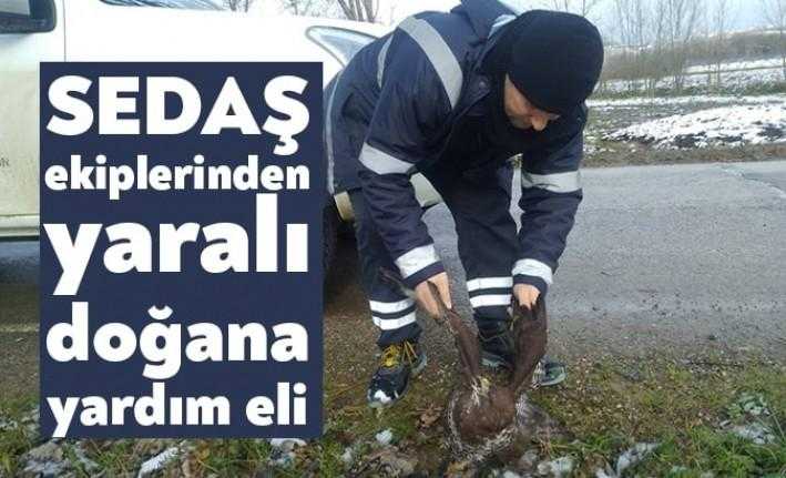 Her türlü zorlu koşulda enerji hatlarının bakım, onarım çalışmaları ve