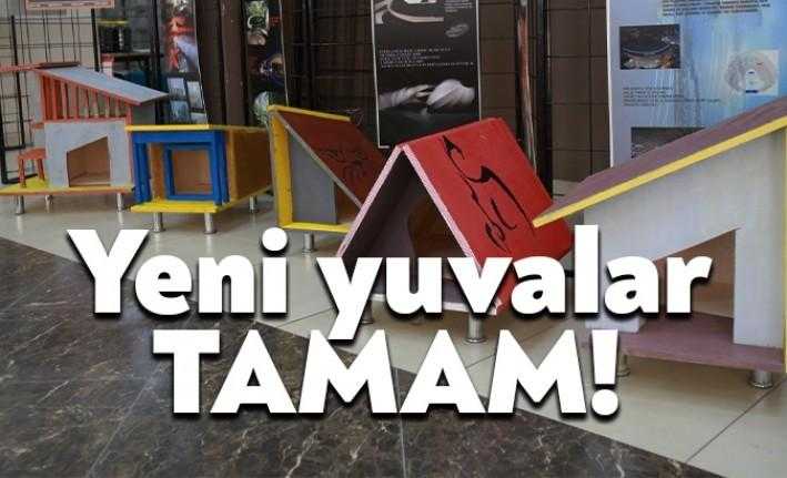 Büyükşehir Belediyesi’nin sponsorluğunda KOÜ’lü öğrenciler, Kedi Evi ve Köpek Kulübesi