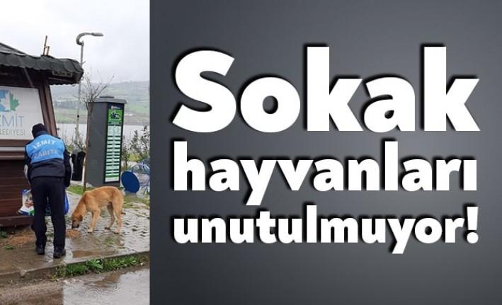 İzmit Belediyesi karantina günlerinde sokaktaki dostlarımızı unutmadı.