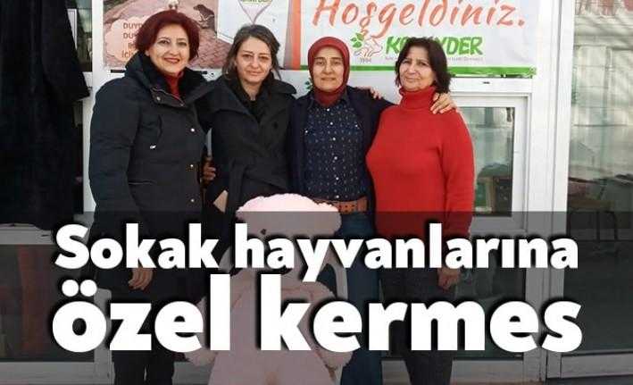 Kocaeli’de sokak hayvanları için önemli çalışmalar yapan KOHAYDER, 10-22 ocak