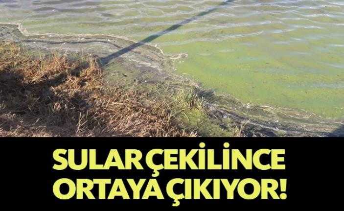 İzmit kent merkezinin hemen yanında yer alan Kocaeli Sanayi Fuarı’nın