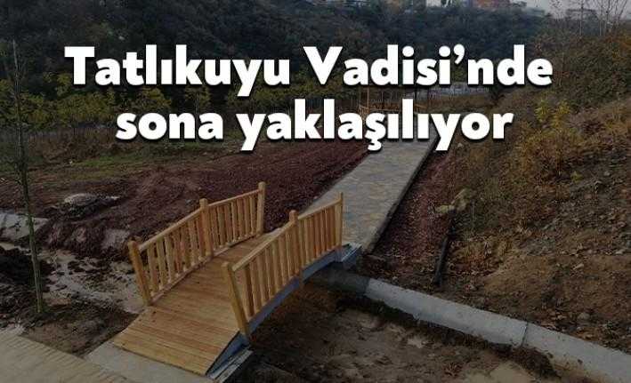 Büyükşehir tarafından yapımı devam eden Tatlıkuyu Vadisi ikinci etabı çalışmalarında