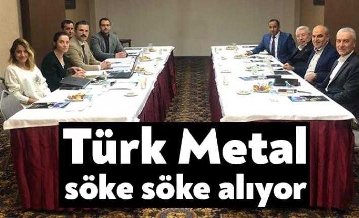 Türk Metal Sendikası Kocaeli Şubesi, Almesan Alüminyum A.Ş.'deki toplu iş