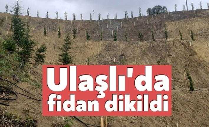 Karamürsel ilçesi D-130 Karayolu Ulaşlı Mevkiinde toprak kayması sonucu bozulan