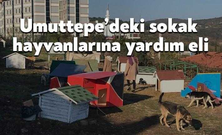 KOÜ’lü öğrenciler, Büyükşehir’in sponsorluğunda tasarladıkları kedi evi ve köpek kulübelerini