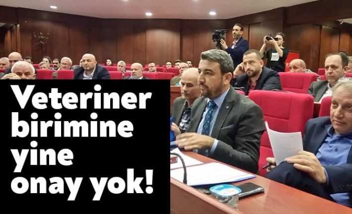 İzmit Belediye Başkanı Fatma Kalan Hürriyet, veteriner birimi talep etti