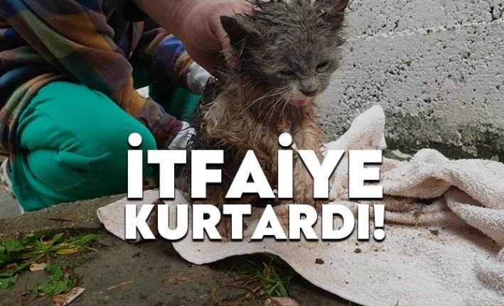 Kocaeli Büyükşehir Belediyesi İtfaiye ekipleri, Başiskele ilçesinde yağmur suyu kanalına