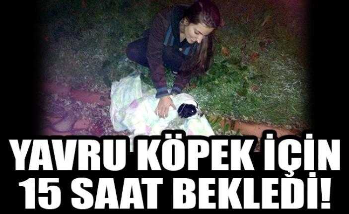 Kent Konseyi Doğa ve Hayvan Hakları Üyesi İpek Taşkent, Karamürsel’de