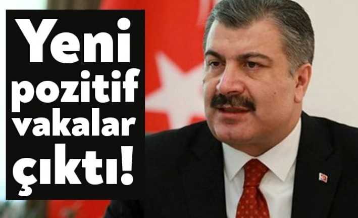 Sağlık Bakanı Fahrettin Koca, "Şu anda pozitif çıkan yeni vakalarımız