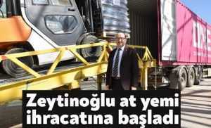 Zeytinoğlu at yemi ihracatına başladı