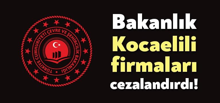 Çevre ve Şehircilik Bakanlığı Yerel Yönetimler Genel Müdürlüğü ihalelerden yasaklanan