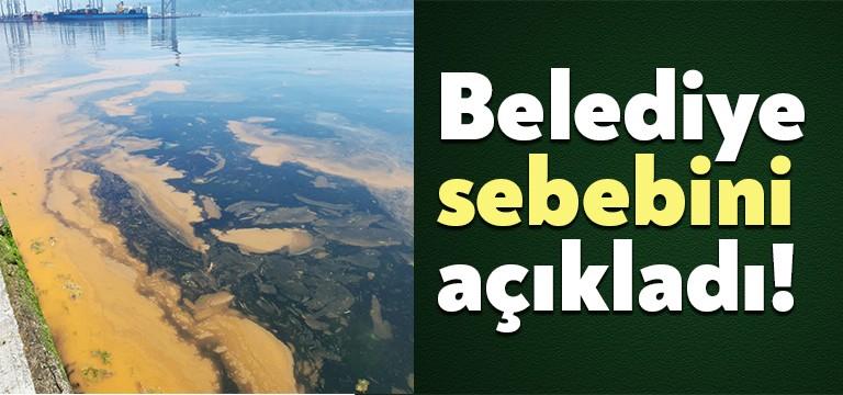 İlçemiz sahillerinde her yıl genellikle bu aylarda denizde ortaya çıkan