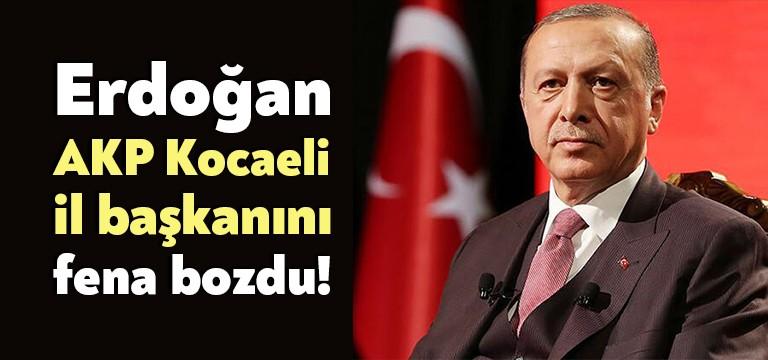 Cumhurbaşkanı Recep Tayyip Erdoğan, Adalet ve Kalkınma Partisi (AKP) Gençlik