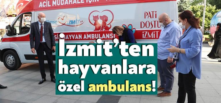 İzmit Belediyesi yeni hizmet aracı filosuna sokaktaki dostlarımız için Hayvan