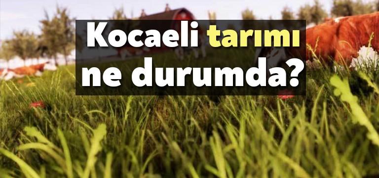 CHP Kocaeli İl Başkanlığı, 9 Mayıs Cumartesi günü saat 21.30’da