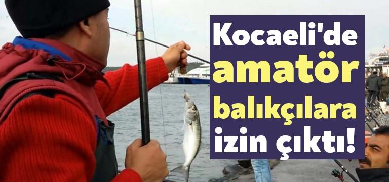 Kocaeli’de İl Umumi Hıfzısıhha Kurulu, konuyla ilgili şu kararı aldı: