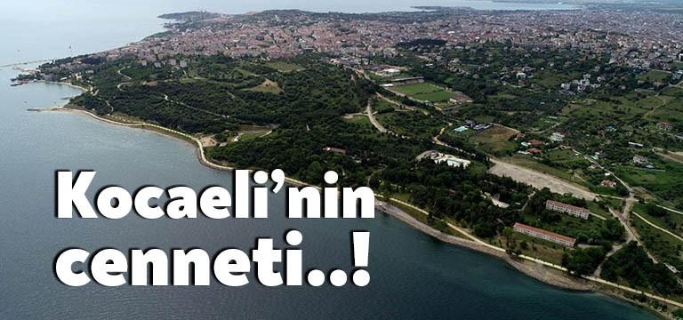 Kocaeli Büyükşehir Belediyesi, Darıca ile Gebze Eskihisar sahillerini Şehit Er