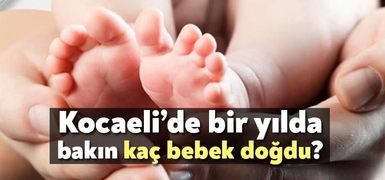 Türkiye İstatistik Kurumu Kocaeli Bölge Müdürlüğünce açıklanan verilere göre, canlı
