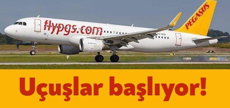 Türk Hava Yolları (THY) ve Pegasus, 1 Haziran’da iç hat
