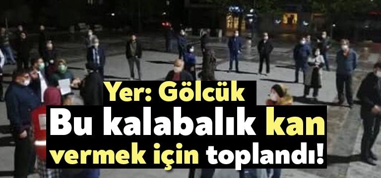Kızılay Gölcük Şubesi‘nin kan verme çağrısı, Gölcük’te büyük ilgi topladı.