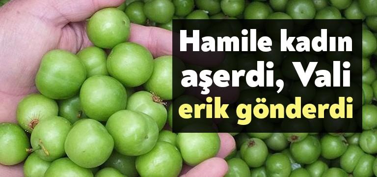 Gölcük Piyalepaşa Mahallesi’nde yaşayan hamile kadın sokağa çıkamayınca, istediği karpuz