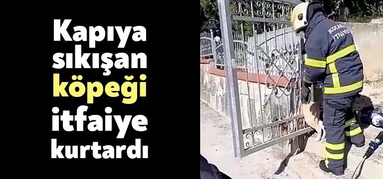 Alınan bilgiye göre İzmit Tavşantepe Mahallesi Tavşantepe Mezarlığınının kapısından geçmeye