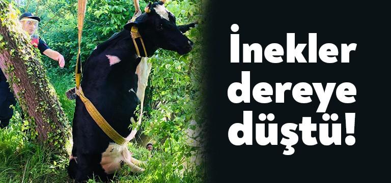 Alınan bilgiye göre Kartepe Ketenciler Mahallesinde ikamet eden Ali Tunç