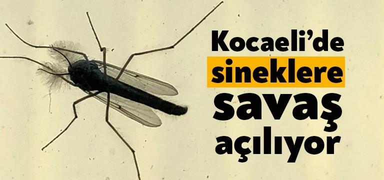 Kocaeli’de vektörle mücadele kapsamında önemli bir adım atılıyor. Kocaeli Büyükşehir