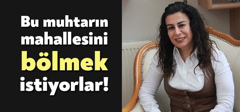 Yavuz Sultan Selim Mahallesi Muhtarı Aslı Ertik, özellikle Körfez Belediyesi