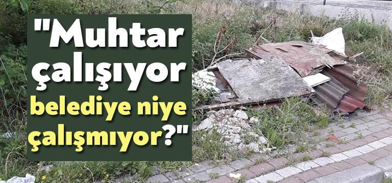 Pandemi sürecinde belediyelerin birçoğu sokakları sabunla köpükle yıkadı. Bu moda