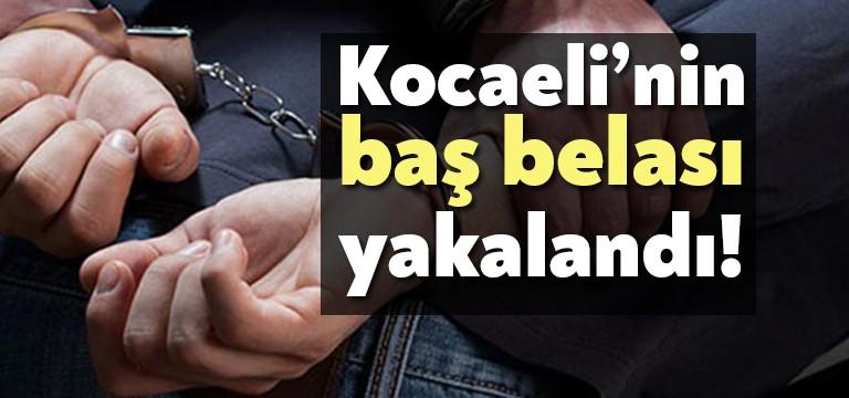 Kocaeli Emniyet Müdürlüğü ekipleri tarafından aranan şahısların yakalanmasına yönelik yapılan