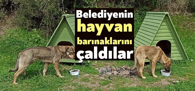 Derince Belediye Başkanı Zeki Aygün’ün 41 seçim vaadi arasında yer
