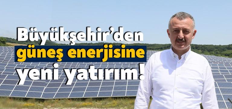 Kocaeli’nin Kandıra ilçesinde baraj göleti kıyısındaki 60 dönümlük alana Kocaeli