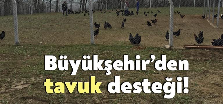 Kocaeli Büyükşehir Belediyesi, Kocaeli’nde çiftçilikle uğraşan vatandaşların gelişimi ve kalkınması