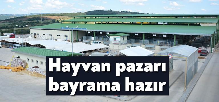 İzmit Belediyesi, Modern Hayvan Pazarı’nı İzmit halkının ve kurbanlık hayvan