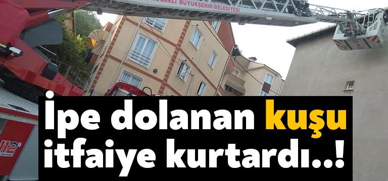 İzmit Tavşantepe Mahallesi Esen Sokak üzerinde bir evin çatısına yuva