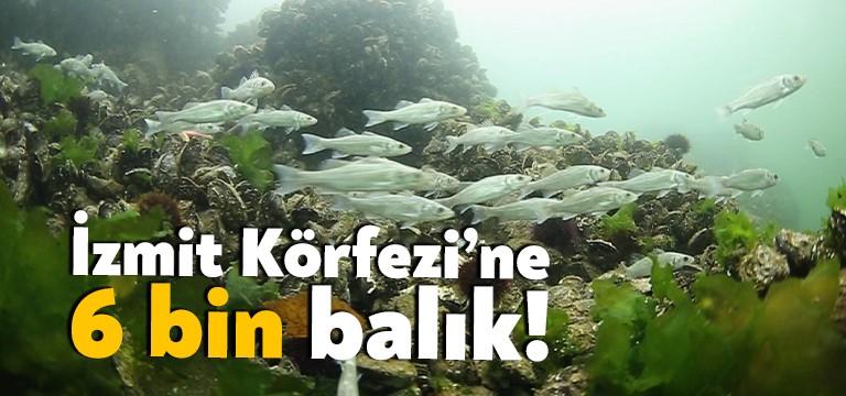 Marmara Belediyeler Birliği ve Kocaeli Büyükşehir Belediye Başkanı Doç. Dr.