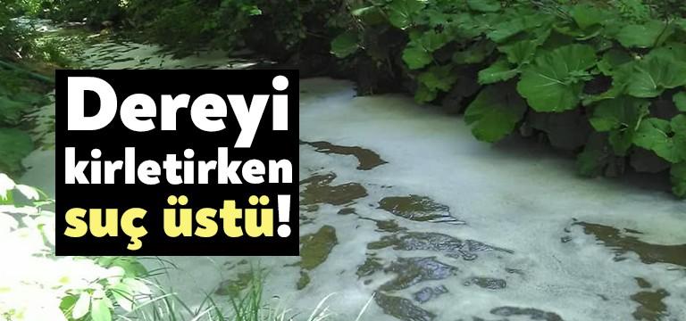 İzmit Paşasuyu’nda yaşanan çevre kirliliği nedeniyle herkesin gözü bölgede. Paşasuyu’ndaki
