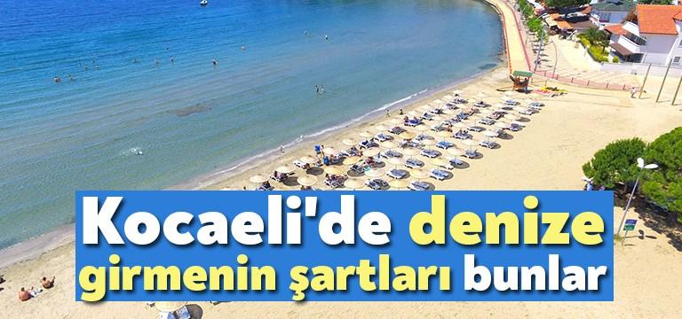 Koronavirüs (Covid-19) önlemleri kapsamında ülkemizdeki sahiller ziyaretçi girişine kapatılmıştı. Kocaeli