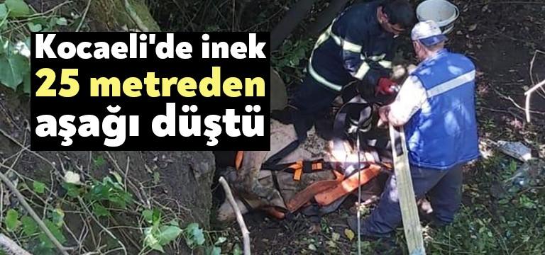 Kocaeli Büyükşehir Belediyesi İtfaiye Dairesi Başkanlığı, Karamürsel ilçesi Çamçukur Köyü’nde
