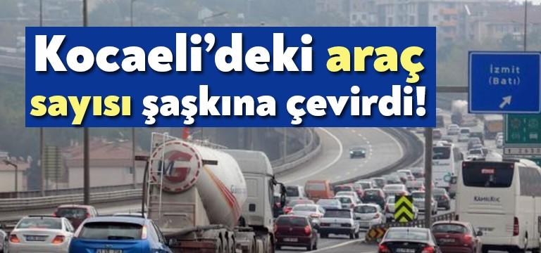 Türkiye İstatistik Kurumu Başkanlığı Kocaeli Bölge Müdürlüğünce açıklanan verilere göre