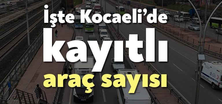 Türkiye İstatistik Kurumu Başkanlığı Kocaeli Bölge Müdürlüğünce açıklanan verilere göre