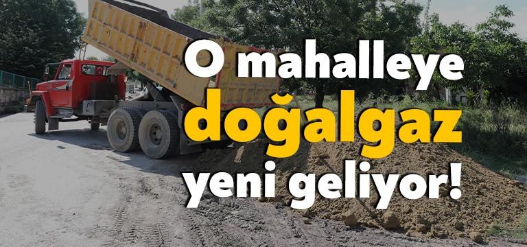 Körfez Belediye Başkanı Şener Söğüt’ün girişimleri sonucu Şirinyalı Mahallesi’nin ardından